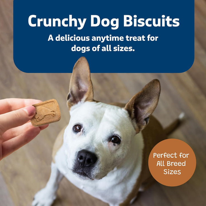 Pumpkin & Cinnamon Crunchy Dog Biscuits