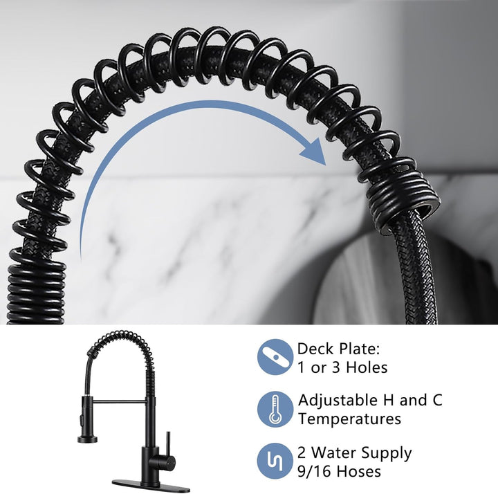 Matte Black Kitchen Faucet with Sprayer