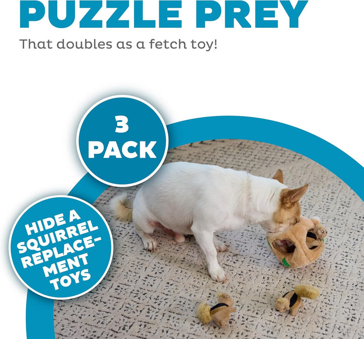 Squeakin' Squirrels Plush Replacement Dog Toys - 3 Pack