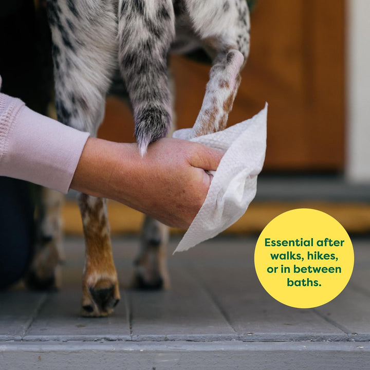 Pet Grooming Wipes for Dogs & Cats – 400ct