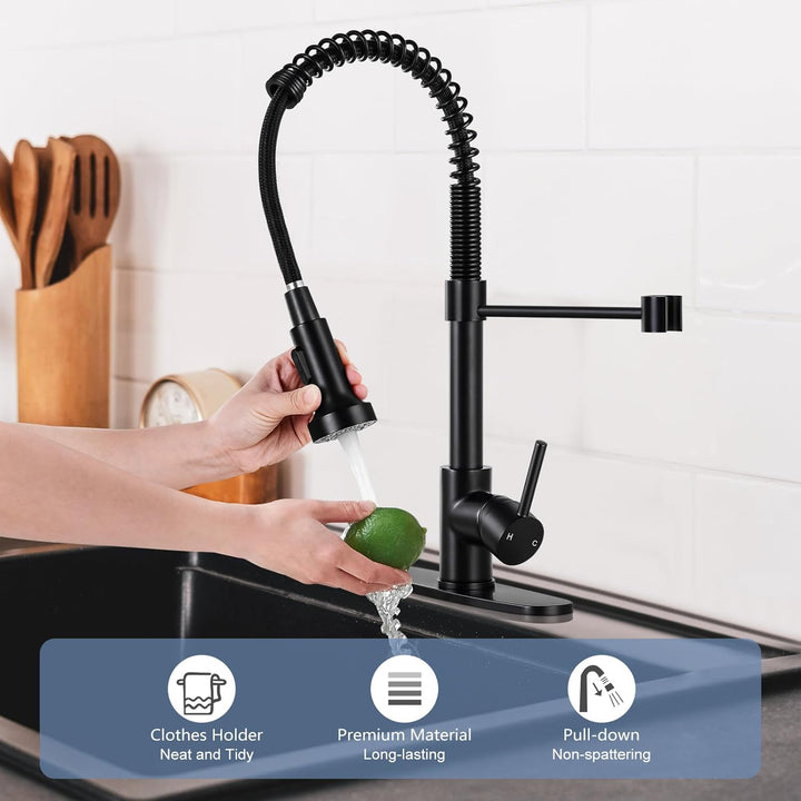 Matte Black Kitchen Faucet with Sprayer