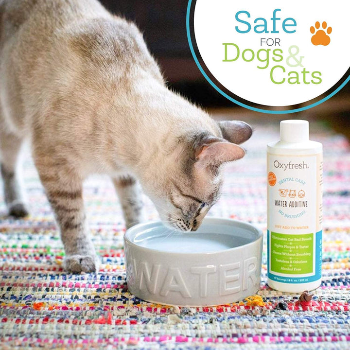 Pet Dental Care Water Additive 16oz