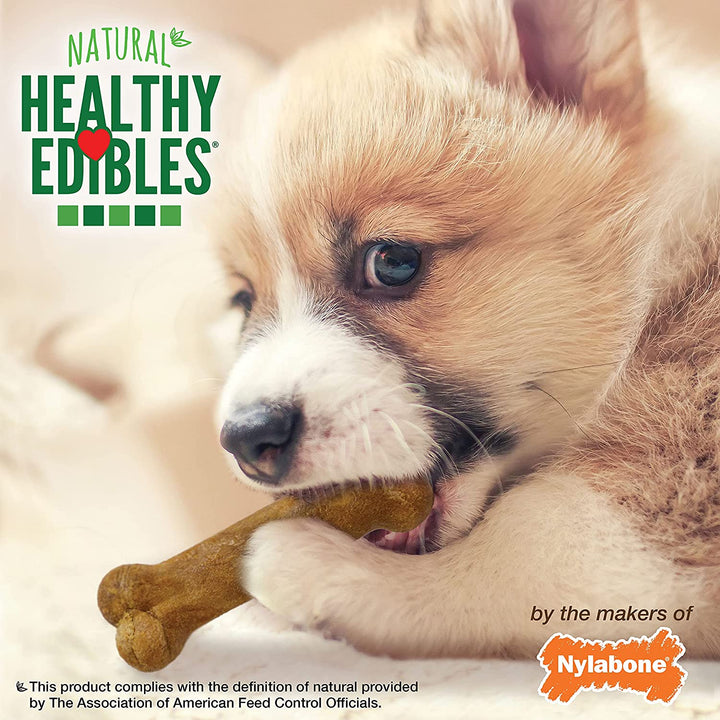 Healthy Edibles X-Small Puppy Chews