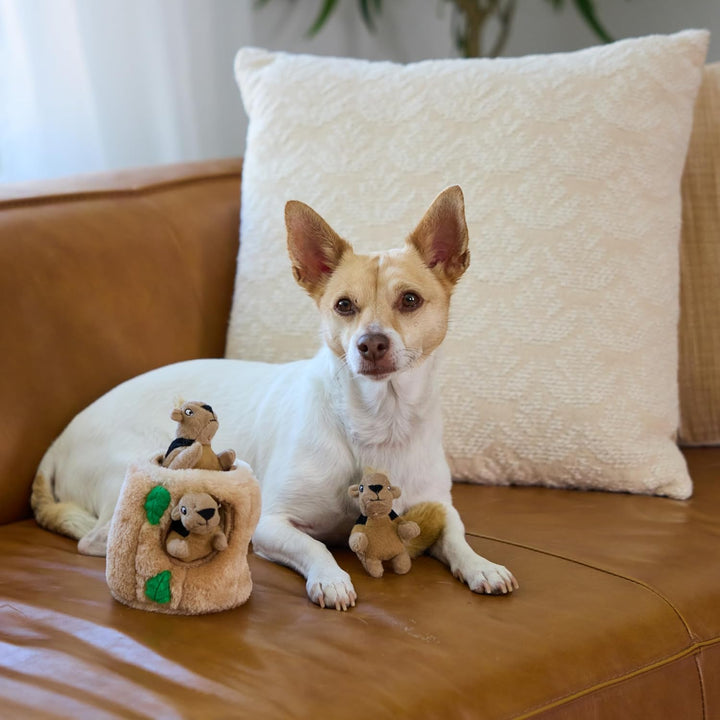 Squeakin' Squirrels Plush Replacement Dog Toys - 3 Pack