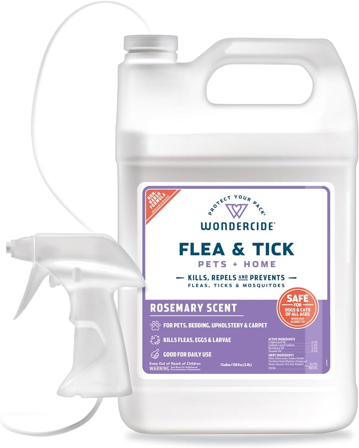 Flea & Tick Spray - Natural Oils 16oz