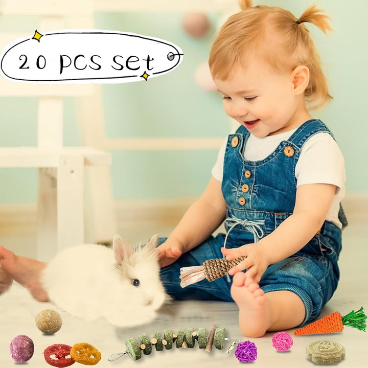 20 PCS Bunny Chew Toys for Teeth, Natural Rabbit Toys  Wood Grass Timothy Sticks Chew and Treat for Guinea Pigs Hamster Chinchillas