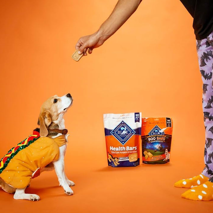 Pumpkin & Cinnamon Crunchy Dog Biscuits