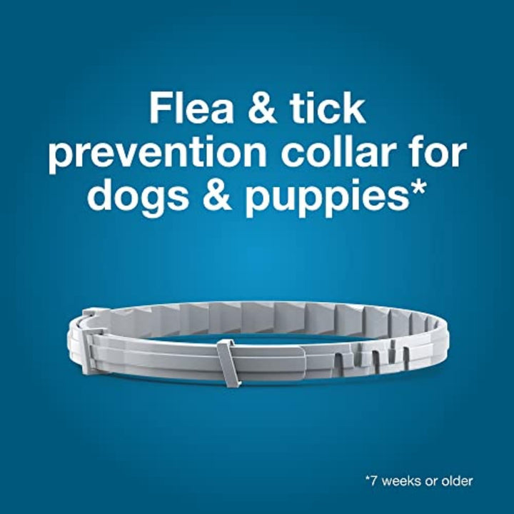 Vet-Recommended Flea & Tick Collar for Dogs
