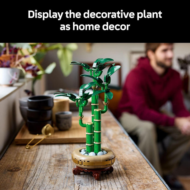 Lucky Bamboo Building Set 