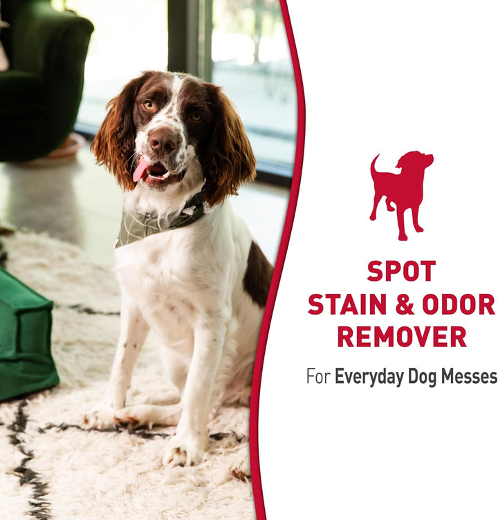 Nature's Miracle Dog Stain Remover
